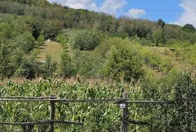 Teren de 1100 mp, în Tisău