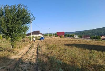 Teren de 1000 mp, în Bârnova