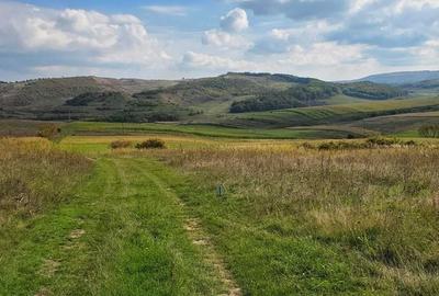 Teren de 4300 mp, în Chinteni