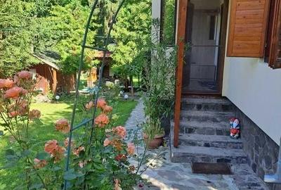 Casă individuală cu 4 camere cu Teren 500 Mp în Zetea - 1