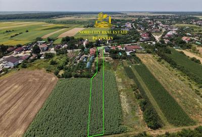 Teren Construcții intravilan de 2700 mp, în Urziceanca - 3