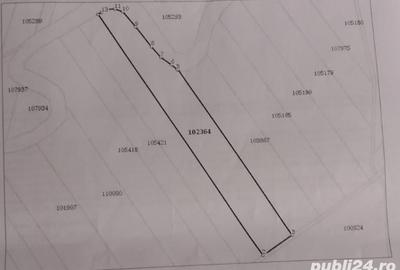 Teren de 20000 mp, în Covaci - 2