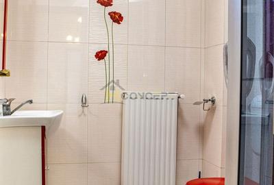 Casă individuală cu 10 camere cu Canalizare în Clinceni - 26