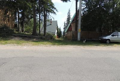 Teren de 500 mp, în Muntele Băișorii - 1