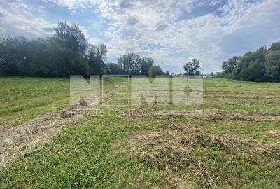 Teren agricol extravilan de 2300 mp, în Satu Mare - 1