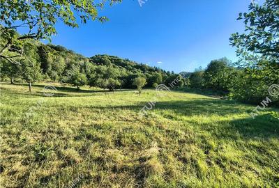 Teren extravilan de 1200 mp, în Sibiel