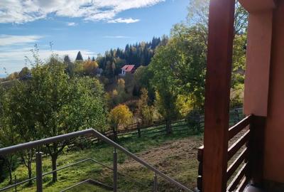 Casă cu 3 camere în Muntele Băișorii - 1