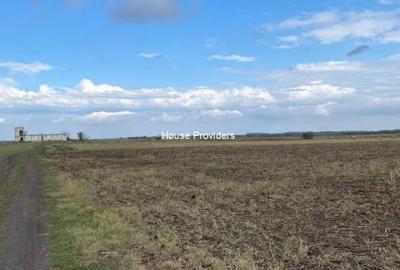 Teren agricol extravilan de 7500 mp, în Bunloc - 1