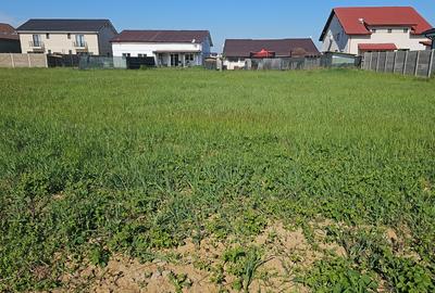 Teren Construcții intravilan de 531 mp, în Moșnița Veche - 1