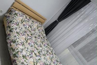 Apartament cu 2 camere în Ostroveni