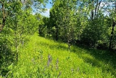 Teren intravilan de 4384 mp, în Talea - 3