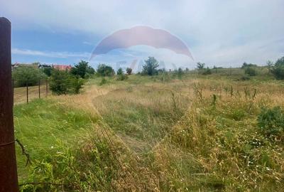 Teren agricol intravilan de 3778 mp, în Brănești - 14