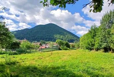 Casă cu 3 camere în Plaiul Foii