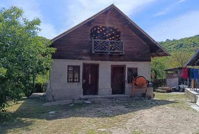 Teren de 2276 mp, în Drăgăneasa - 5