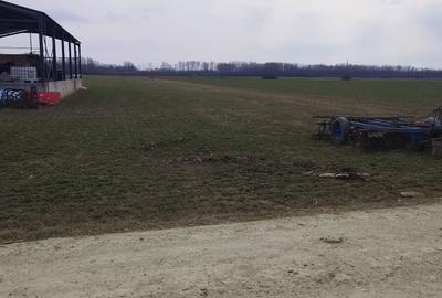 Spațiu comercial, în Puchenii Mari - 3