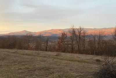 Teren de 10000 mp, în Hălmagiu - 1