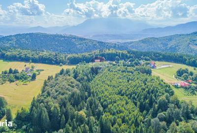 Teren de 7083 mp, în Poiana Mărului