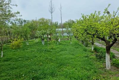 Teren în Păcii - 6