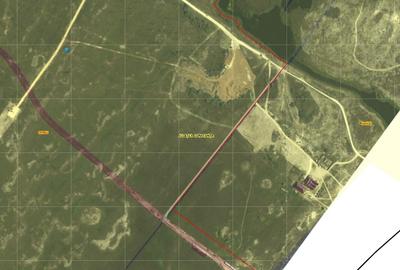 Teren agricol extravilan de 10000 mp, în Vadu - 2