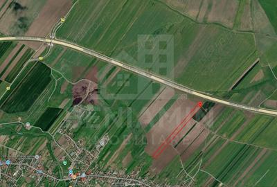 Teren de 9656 mp, în Pielești