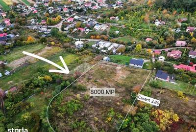 Teren de 8000 mp, în Gârleni - 4