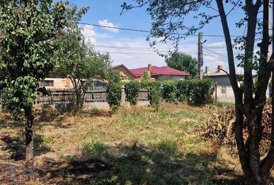 Casă cu 2 camere în Comana