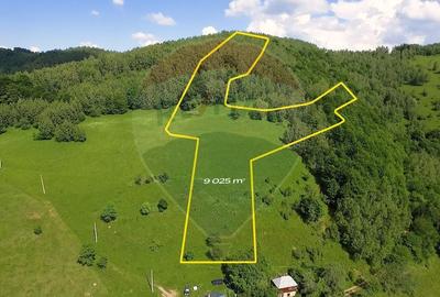 Teren agricol extravilan de 9025 mp, în Mărișel - 4
