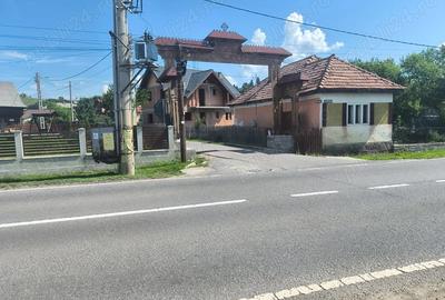 Teren de 2600 mp, în Moglănești