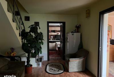 Casă cu 2 camere cu Teren 4368 Mp în Certeju de Sus - 11
