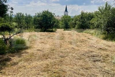 Teren de 3200 mp, în Budacu de Jos - 2