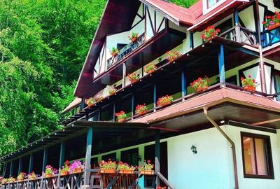 Casă cu 4 camere în Valea Doftanei - 3