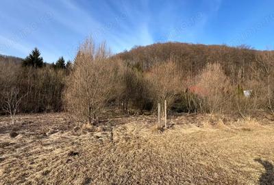 Teren de 1300 mp, în Câmpu Cetății - 3