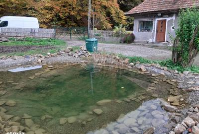 Casă cu 3 camere în Teliu - 7