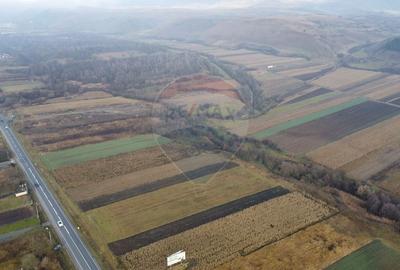 Teren Construcții intravilan de 9000 mp, în Gilău - 19