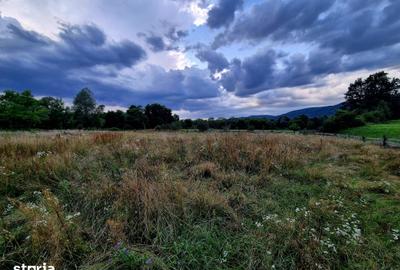 Teren de 3220 mp, în Șinca