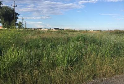 Teren Construcții intravilan de 800 mp, în Țegheș - 7