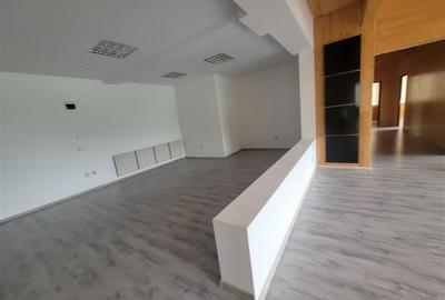 Birou, de 221 mp, în George Enescu - 6