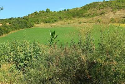 Teren de 5500 mp, în Central