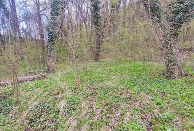 Teren Construcții intravilan de 10403 mp, în 15 Noiembrie - 10