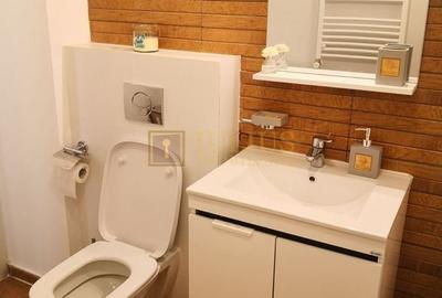 Apartament cu 2 camere decomandat, mobilat în Medicină - 17