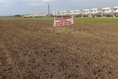 Teren de 300 mp, în Mărăcineni - 2