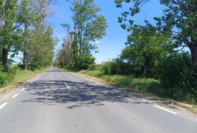 Teren de 5000 mp, în Siliștea Snagovului - 1