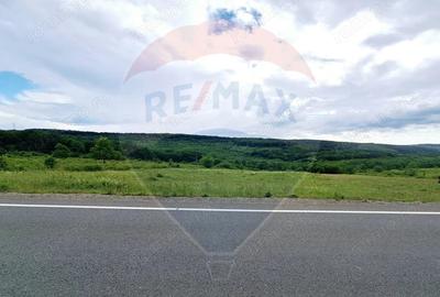 Teren de 5755 mp, în Hidiș