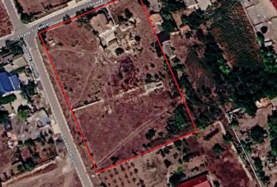 Casă individuală cu 3 camere cu Teren 5000 Mp în Plopeni