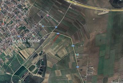 Teren Construcții intravilan de 5610 mp, în Dărăști-Ilfov - 2
