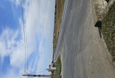 Teren în Cocorăștii Colț - 5