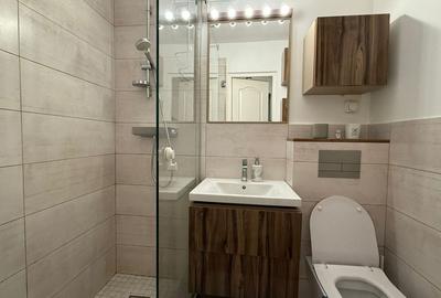 Apartament cu 2 camere decomandat, mobilat în Politehnica - 12