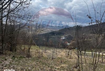 Teren de 12458 mp, în Meteș - 1