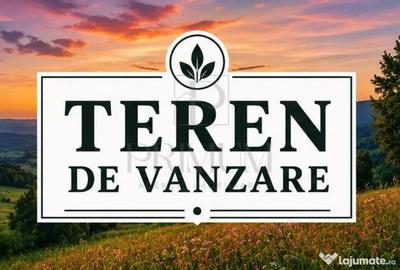 Teren în Sânandrei