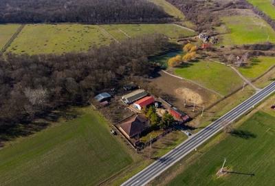 Casă cu Teren 12000 Mp în Central